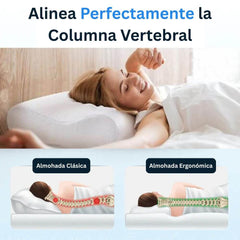 Almohada Cervical Ortopédica - EG